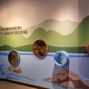 괴강 | 충주 아기랑 괴강토종어류체험관 (정보, 입장료, 주차, 시설, 엄마의 후기 외)