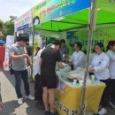 곡성세계장미축제장 이미지