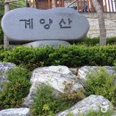 장미커피호프 이미지