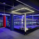 UP복싱클럽 이미지