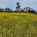 아르케하우스 민박 이미지