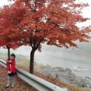 동강리버스타 이미지