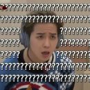 새하얗개 이미지