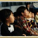 양강초교 이미지