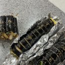 몽키김밥 이미지