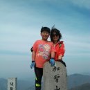 규보 Daum카페