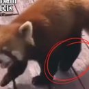 한다리마을 이미지