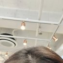 파뿌리살롱