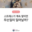 윤석렬 대통령 과잉각성 된거같다고 프로파일러가. 공명가해당해 유도당할까봐 무섭습니다. 이미지