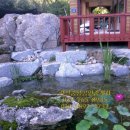 계곡가든민박 이미지