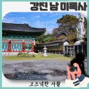 강진-36 | 언제 들려도 좋은 강진 남 미륵사 방문 후기 아시아 최대 황동 아미타불