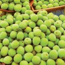 단오약국 이미지