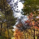 화야산장펜션 이미지