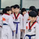 2 베스트 태권도장 이미지