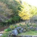 낙산계곡펜션 이미지