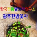 인재육성아카데미평생교육원 이미지