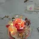 세천초등학교 이미지