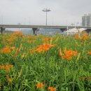 고양능곡13 Daum카페