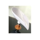 돌다리몰 이미지