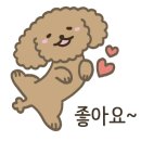 아이앤지동물병원 이미지