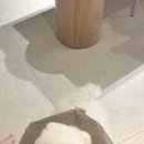 모제네일스튜디오