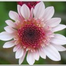 복룡동 시민문화공원 이미지