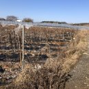 대부도 바닷가펜션 이미지