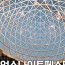 낭만사이언스