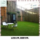 댕스런 | 옥련1동 애견카페 농가의식탁 연수점 가격 및 후기 추천 리뷰 주차 예약 알아볼까요