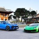 305 이미지