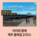 제주 올레길 4코스 | 아이와 함께 제주 올레길 21코스 걷기 후기｜점심·지미봉 우회·완주까지