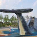 고래공원 이미지