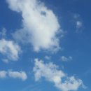 (주)로켓펀치게임즈 | 로켓펀치 취준컴퍼니 24기 48주차 후기