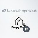 퍼피메이트 안심분양센터 동탄 강아지분양 이미지