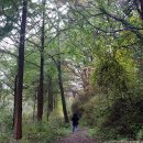 피재골약수터 이미지