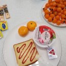 위클라드애견풀빌라 이미지