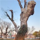 유당공원 이미지