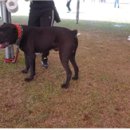 오수동물병원 이미지