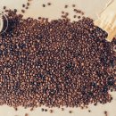 카페더케냐 이미지