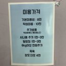 봄봄냥 | <봄봄냥> 고양이무마취미용 2차 후기