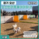 여기엇댕 이미지