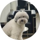 오목교역 3번출구(슬로우시티 앞, 세라젬목동점) | 오목교미용실 에이유젠 목동남자머리 다운펌 두피케어 솔직후기