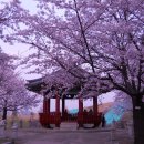 강남-169 이미지