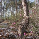 강천산군립공원(강천사) 이미지