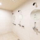 홍대) [스포짐서교점] 오전 트레이너 구인/ 인계회원 35명이상 / 평균 급여 월 500 /수요폭발 / 시설보시면 답 나옵니다 딱1명 이미지