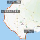 돌고래목욕탕 | 신창풍차해안도로 서쪽여행코스 제주도 돌고래 스팟은 여기!