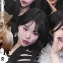 4431 | 데이아이, 탄방동 속눈썹