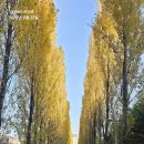 경춘선숲길 이미지