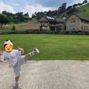 구례뜰 | 하동 해뜰목장 VS 구례지리산치즈랜드🧀 6세 아이와 솔직 후기