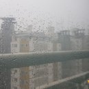 밥이술술 이미지